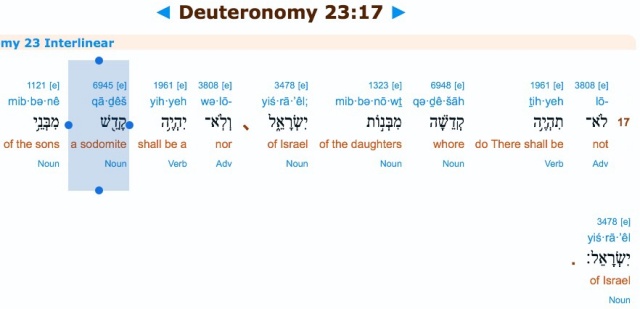 Deuteronomy 23:7 sodomite meaning